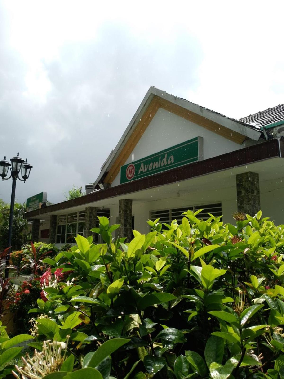 Hotel Avenida53 巴兰基亚 外观 照片